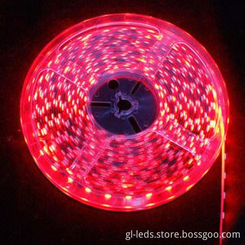 SMD 5050 Constant Current Dimmable LED Ribbon Light